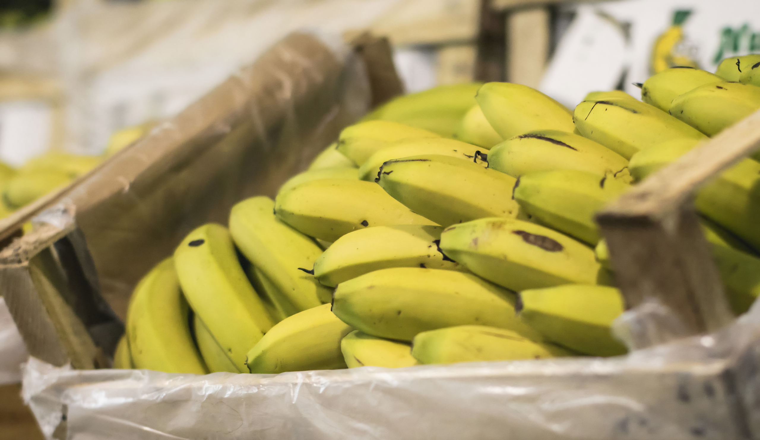 Selección de frutas y verduras frescas