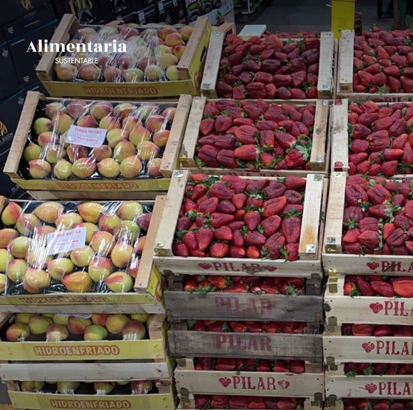 Variedad para cada operación